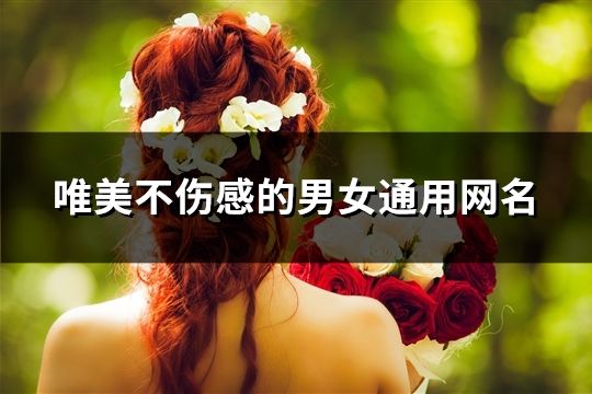 唯美不伤感的男女通用网名(共452个)