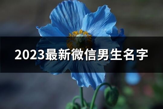 2023最新微信男生名字(共229个)