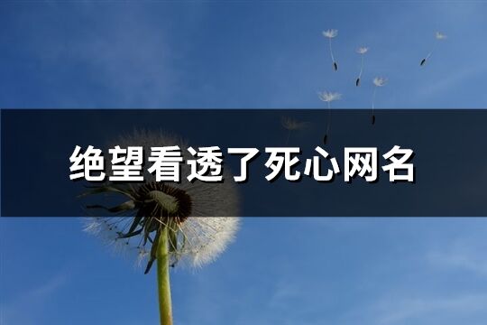 绝望看透了死心网名(633个)