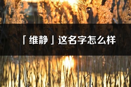 「维静」这名字怎么样