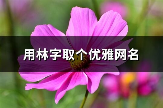 用林字取个优雅网名(精选98个)