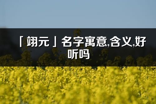 「翊元」名字寓意,含义,好听吗