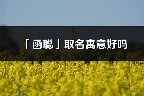 「函聪」取名寓意好吗