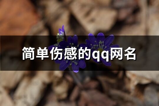 简单伤感的qq网名(共244个)