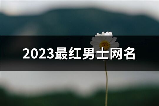 2024最红男士网名(共522个)