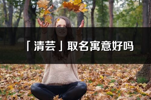 「清芸」取名寓意好吗