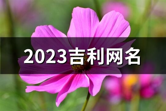 2023吉利网名(共333个)