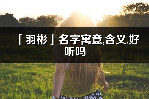 「羽彬」名字寓意,含义,好听吗