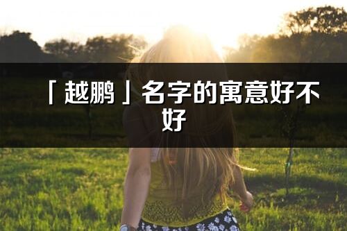 「越鹏」名字的寓意好不好