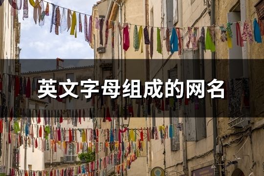 英文字母组成的网名(217个)