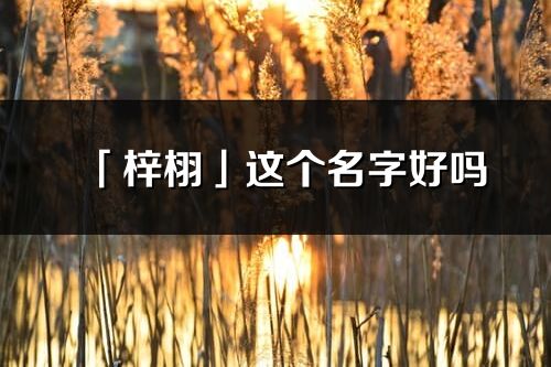 「梓栩」这个名字好吗