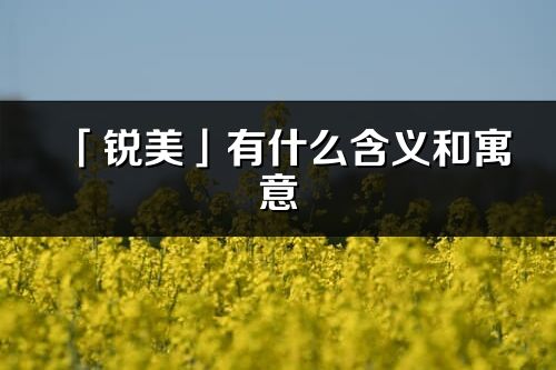 「锐美」有什么含义和寓意