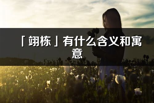 「翊栋」有什么含义和寓意