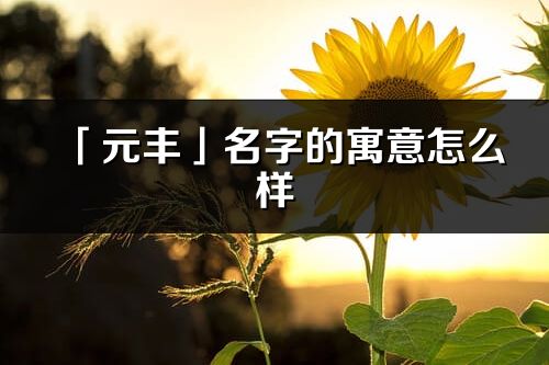 「元丰」名字的寓意怎么样