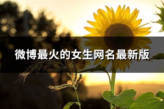 微博最火的女生网名最新版(精选190个)