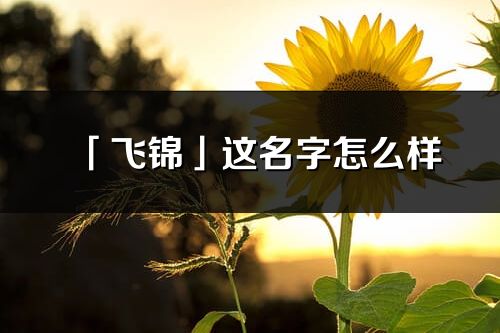 「飞锦」这名字怎么样