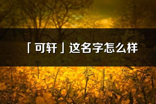 「可轩」这名字怎么样