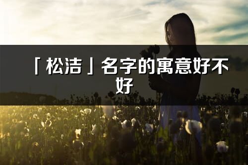 「松洁」名字的寓意好不好