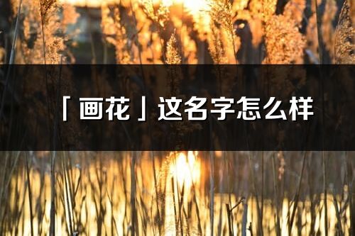 「画花」这名字怎么样