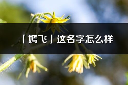 「嫣飞」这名字怎么样