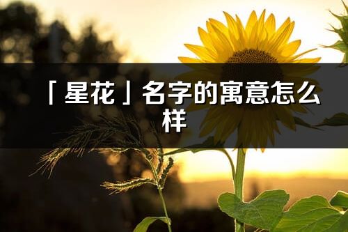 「星花」名字的寓意怎么样