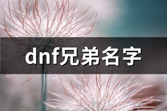 dnf兄弟名字(共61个)