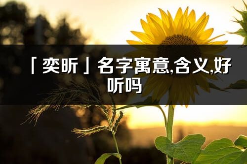 「奕昕」名字寓意,含义,好听吗