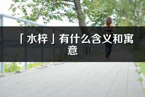 「水梓」有什么含义和寓意