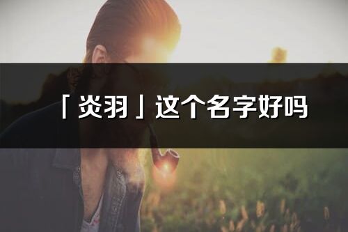 「炎羽」这个名字好吗