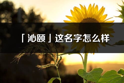 「沁颐」这名字怎么样