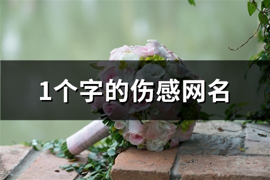 1个字的伤感网名(283个)