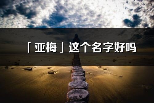 「亚梅」这个名字好吗