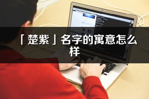 「楚紫」名字的寓意怎么样