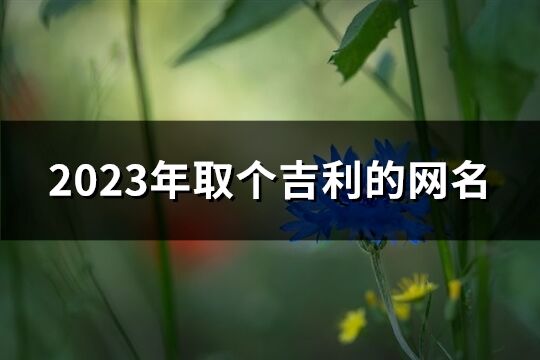 2023年取个吉利的网名(共858个)