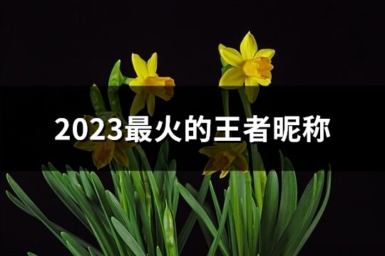 2023最火的王者昵称(共194个)