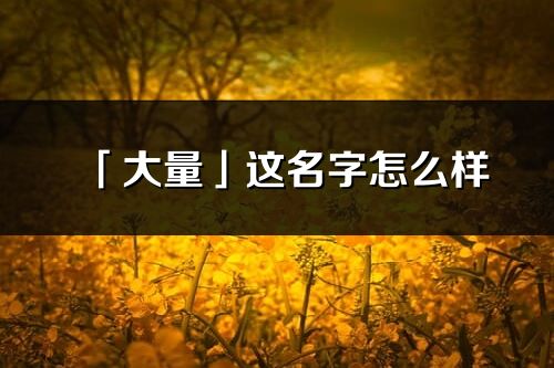 「大量」这名字怎么样