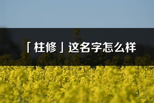 「柱修」这名字怎么样