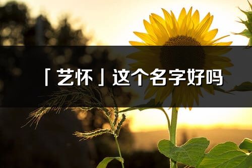 「艺怀」这个名字好吗