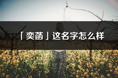 「奕菡」这名字怎么样