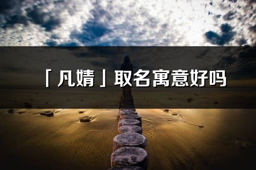 「凡婧」取名寓意好吗