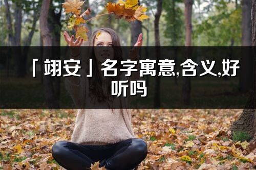 「翊安」名字寓意,含义,好听吗