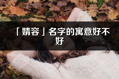 「婧容」名字的寓意好不好