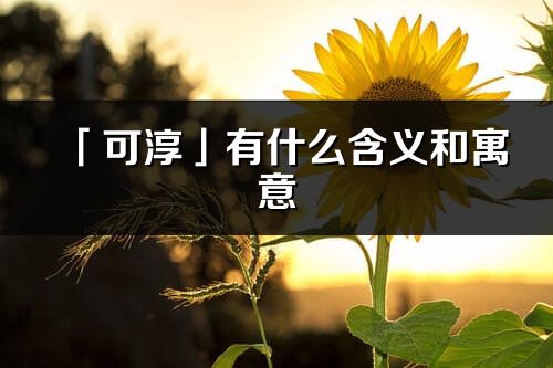 「可淳」有什么含义和寓意