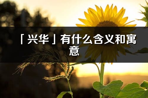 「兴华」有什么含义和寓意