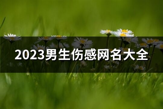 2023男生伤感网名大全(共384个)