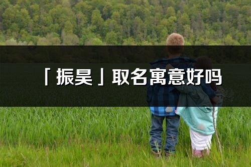 「振昊」取名寓意好吗