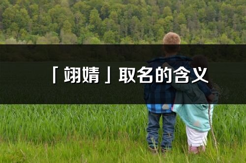 「翊婧」取名的含义