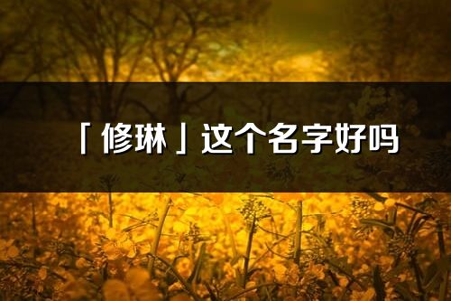 「修琳」这个名字好吗