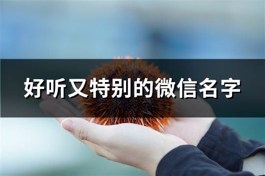 好听又特别的微信名字(精选54个)