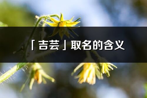 「吉芸」取名的含义